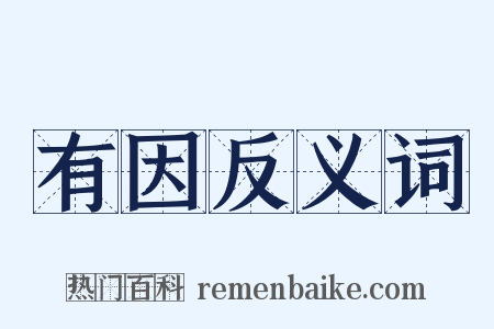 有因反义词是什么意思的图片